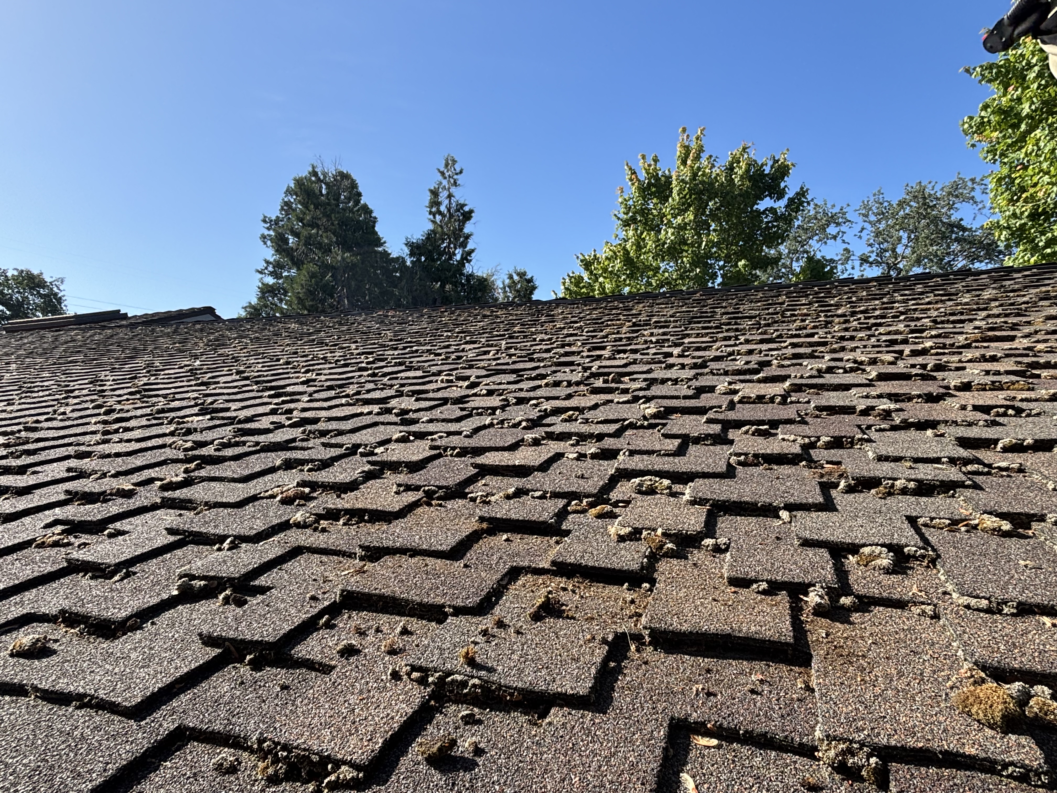 Roof after soft wash and moss removal