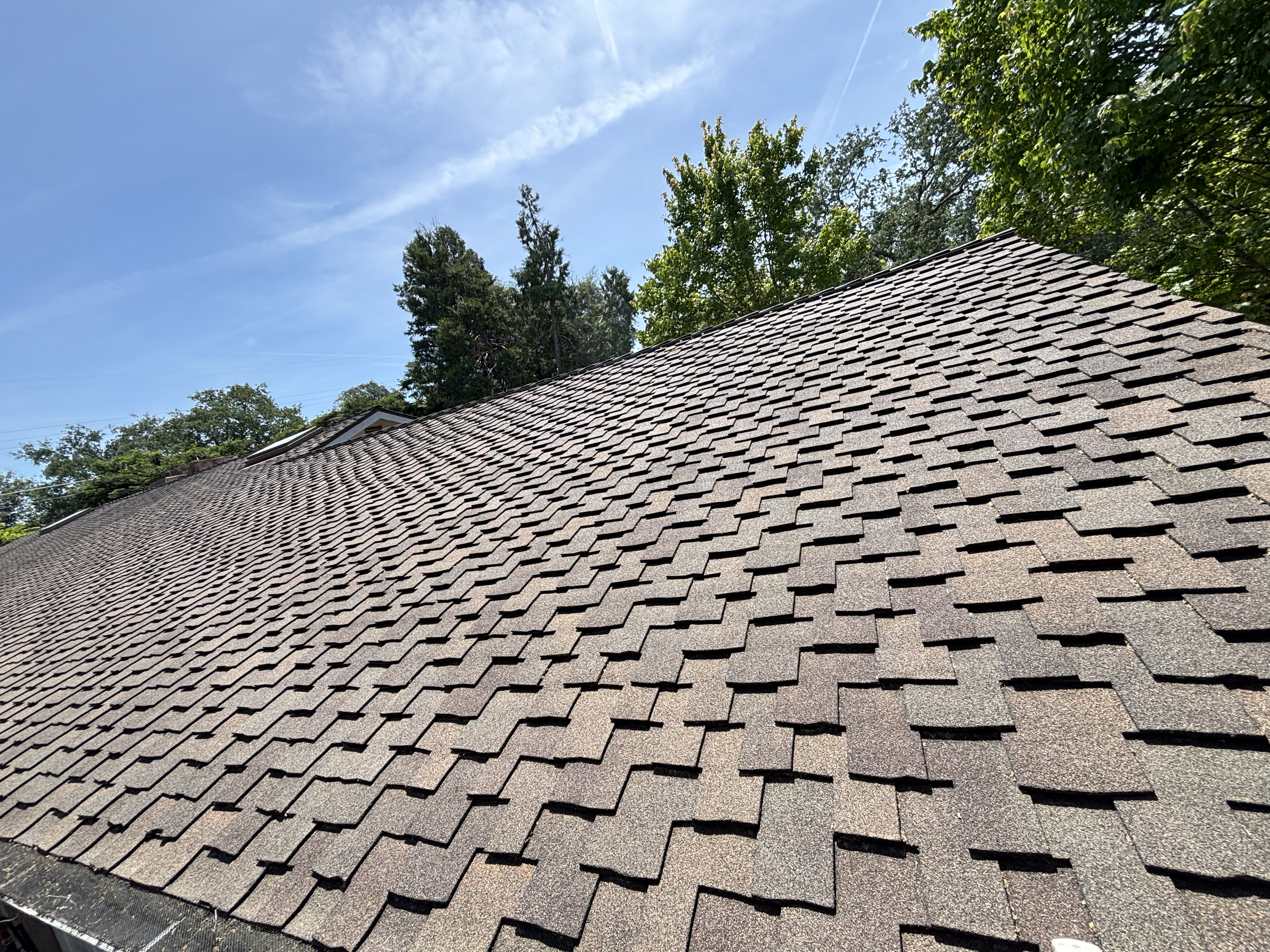Roof before soft wash and moss removal