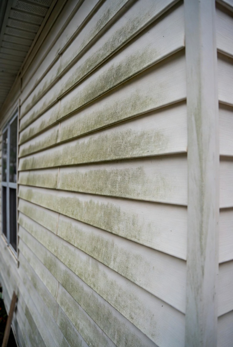 House siding after soft wash